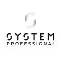 System Professional